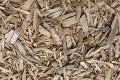 biomass boilers Penpoll